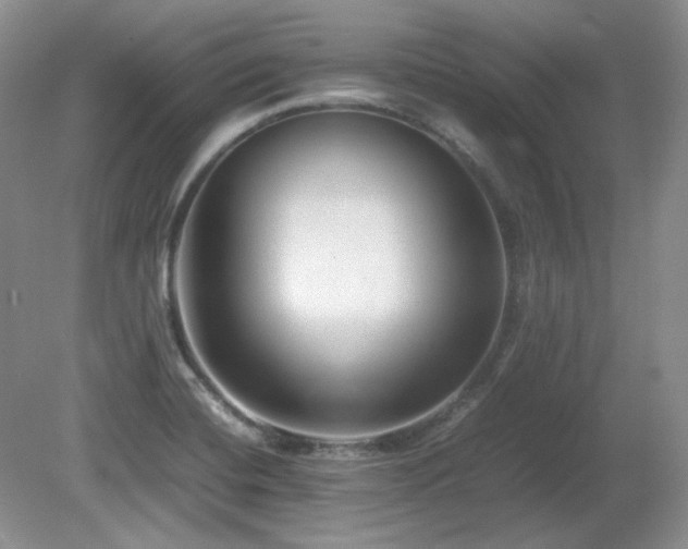 X0000081611420200701151353