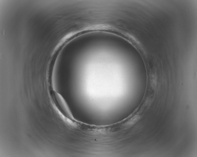 X0000081611422200701151353