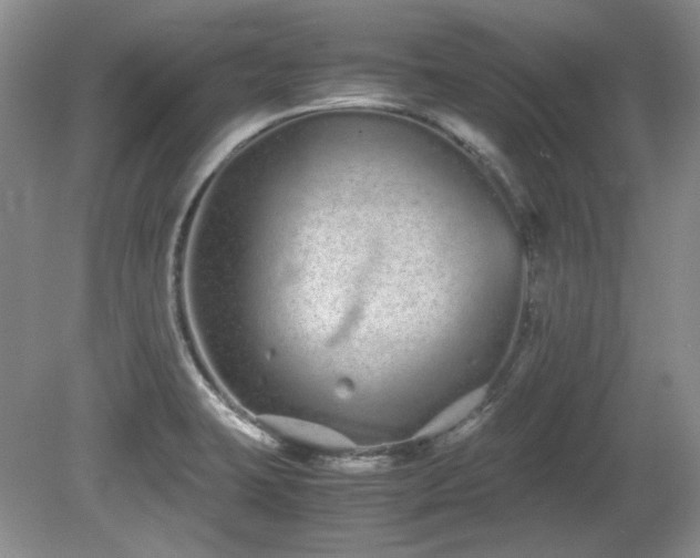 X0000081611423200701151353