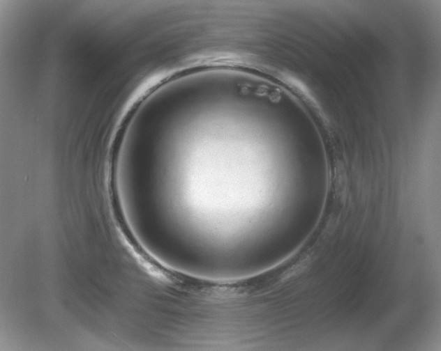 X0000081611424200701151353