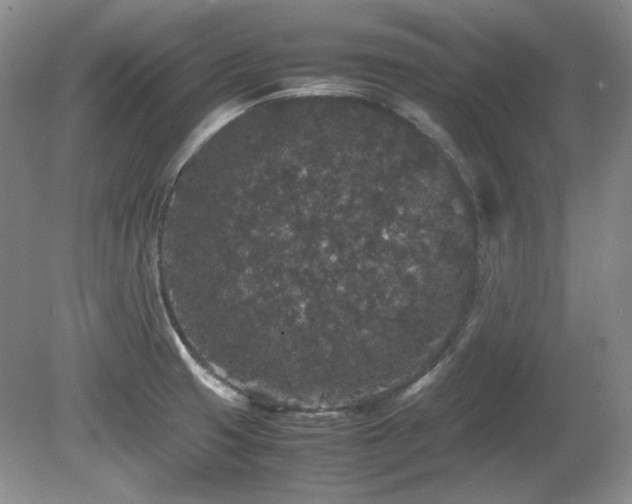 X0000081611425200701151353