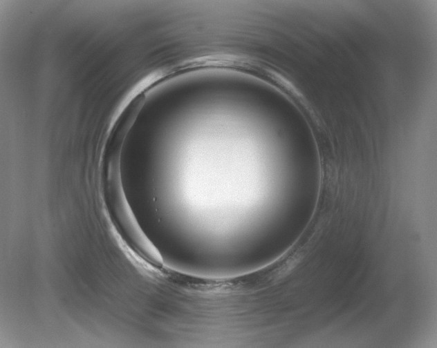 X0000081611426200701151353