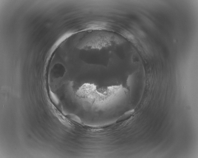 X0000081611427200701151353