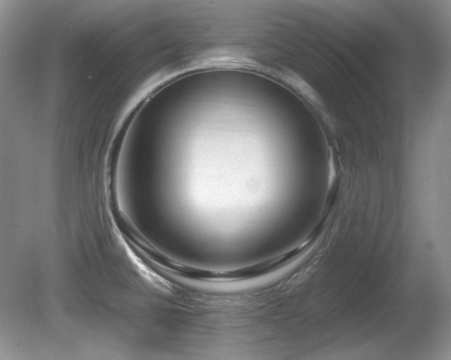 X0000081611430200701151353