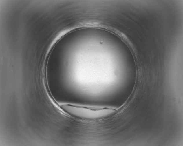 X0000081611432200701151353