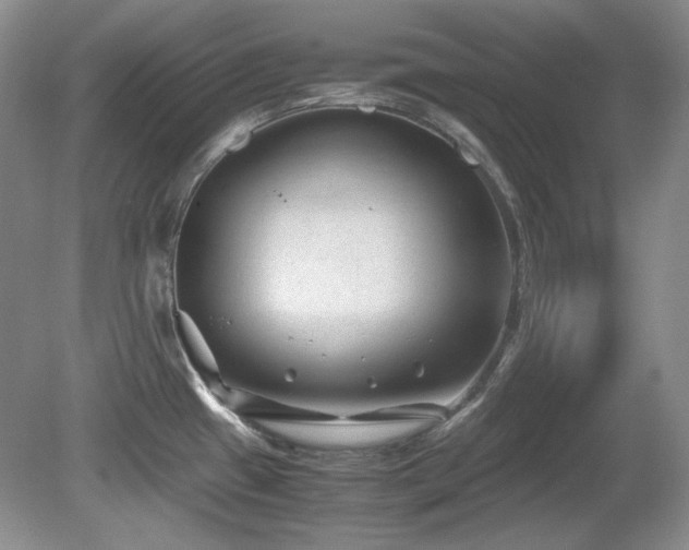 X0000081611433200701151353