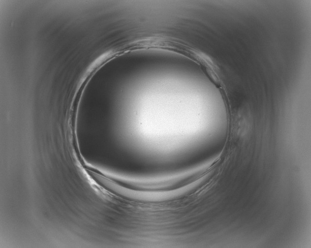 X0000081611434200701151354