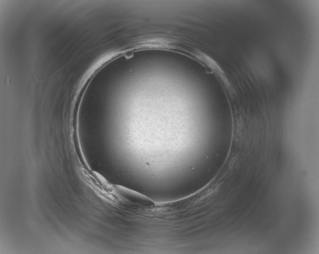 X0000081611435200701151354