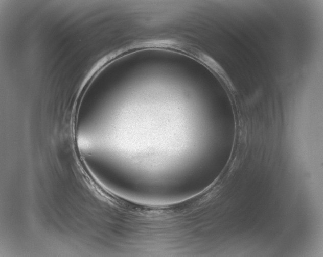 X0000081611436200701151354