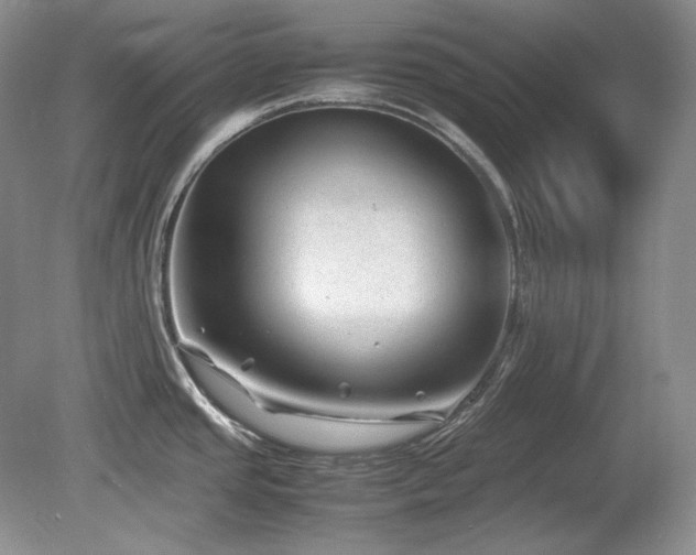 X0000081611437200701151354