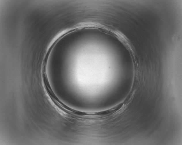 X0000081611438200701151354