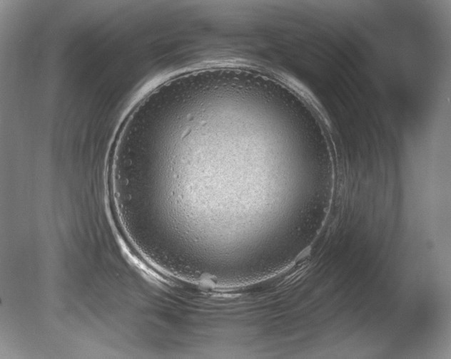 X0000081611439200701151354