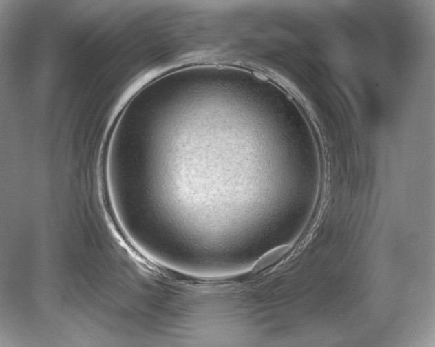 X0000081611440200701151354