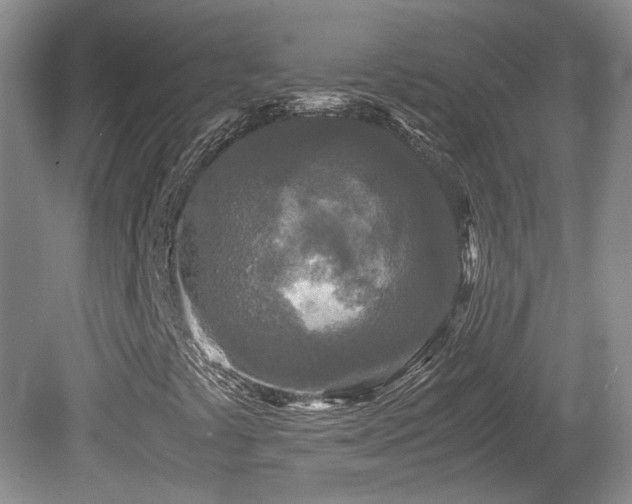 X0000081611441200701151353