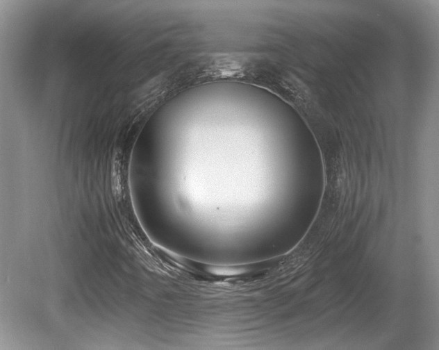 X0000081611442200701151353