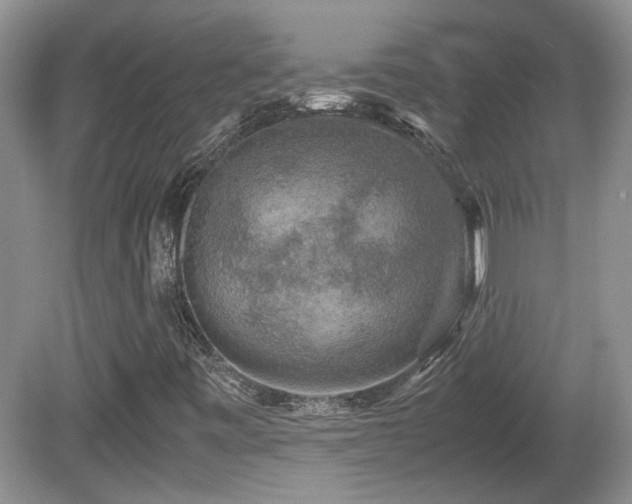 X0000081611443200701151353