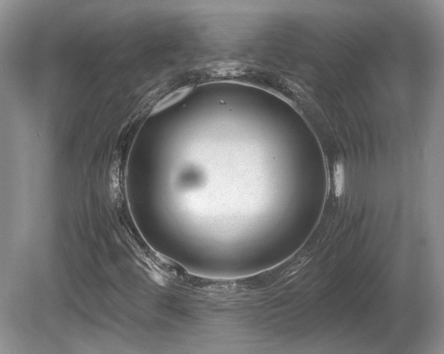 X0000081611444200701151353