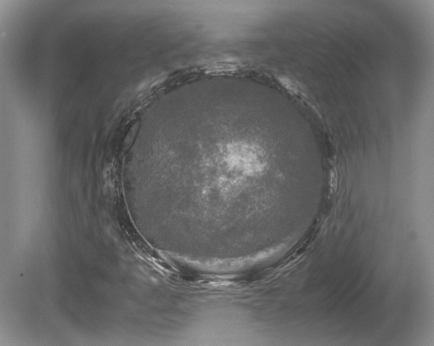 X0000081611445200701151353