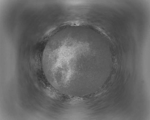 X0000081611446200701151353