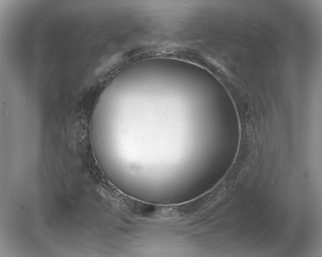 X0000081611447200701151353