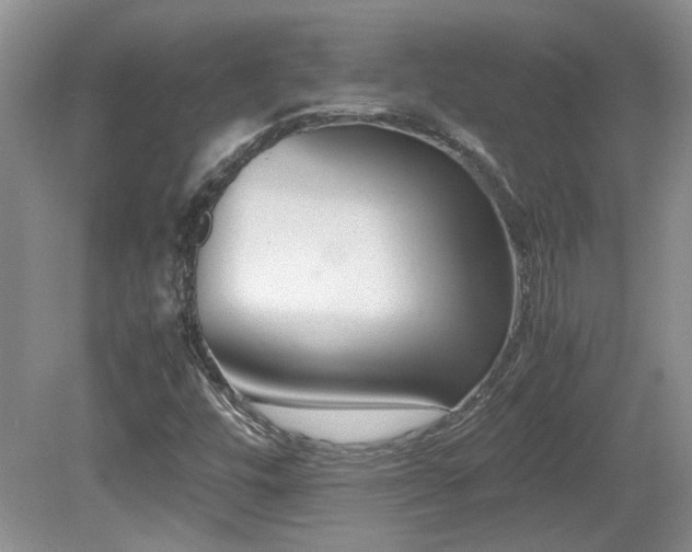 X0000081611448200701151353