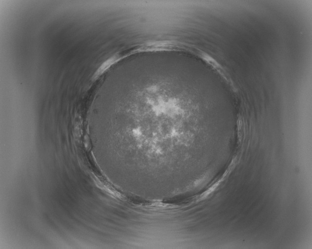 X0000081611449200701151353