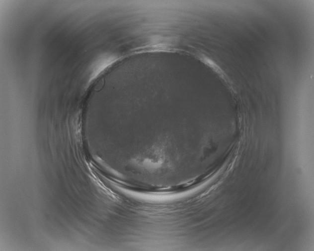 X0000081611450200701151353