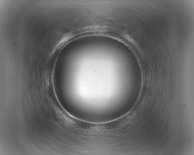 X0000081611451200701151353