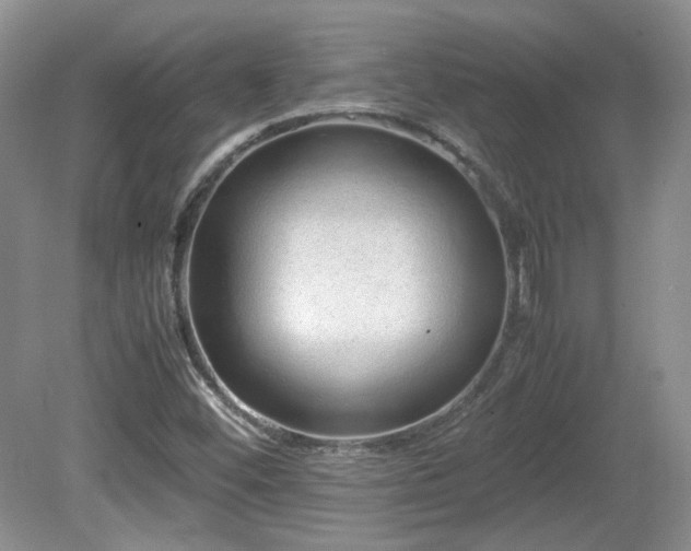 X0000081611452200701151353