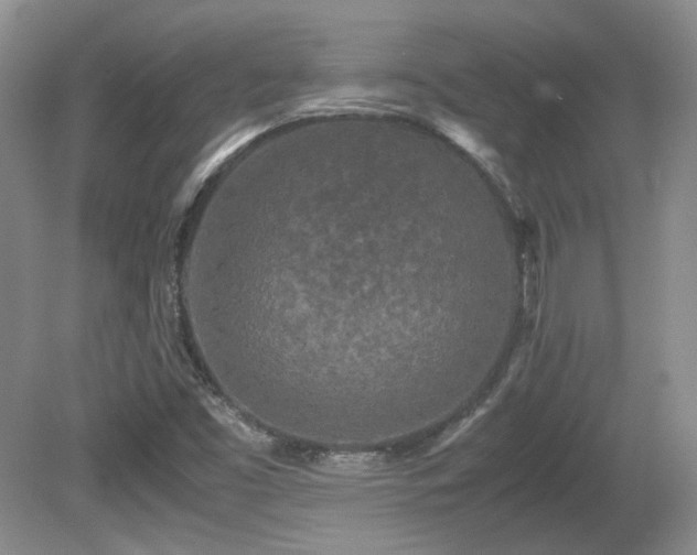 X0000081611453200701151353