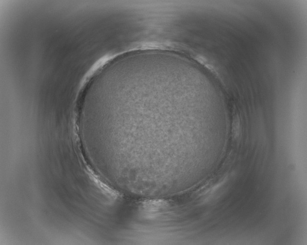 X0000081611454200701151353