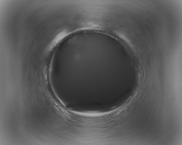 X0000081611455200701151353