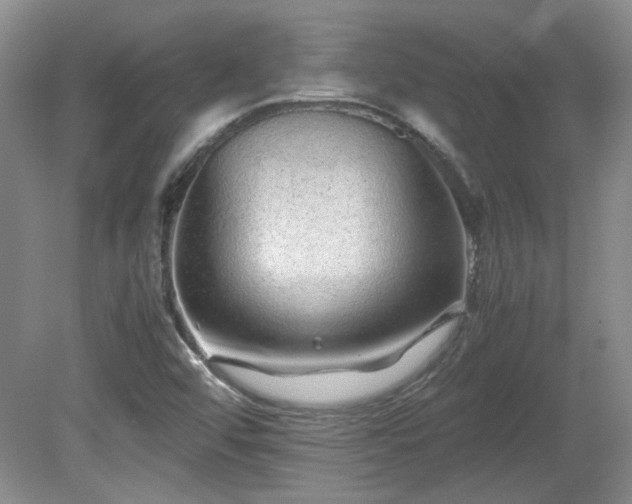 X0000081611456200701151353