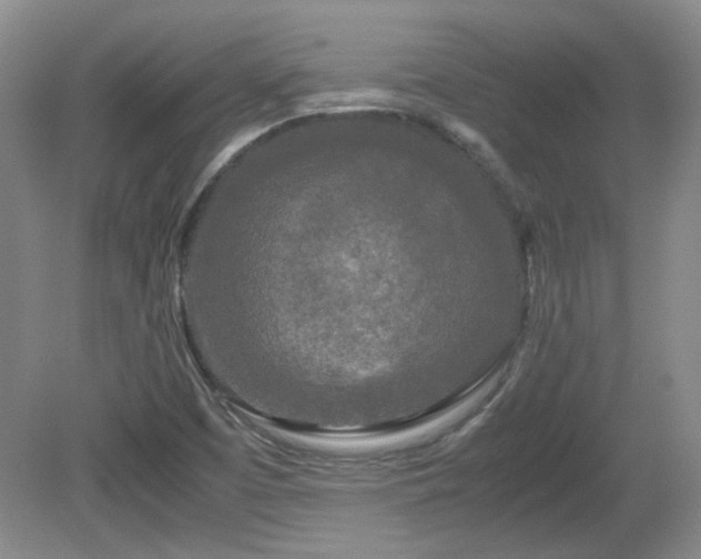 X0000081611457200701151353