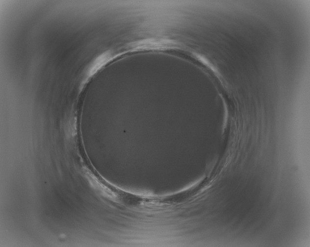 X0000081611459200701151352