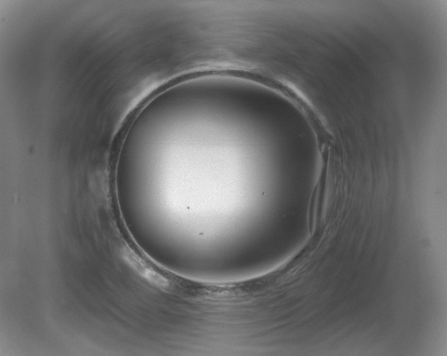 X0000081611460200701151352