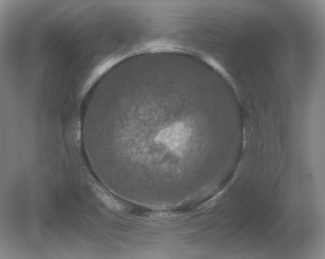 X0000081611461200701151352