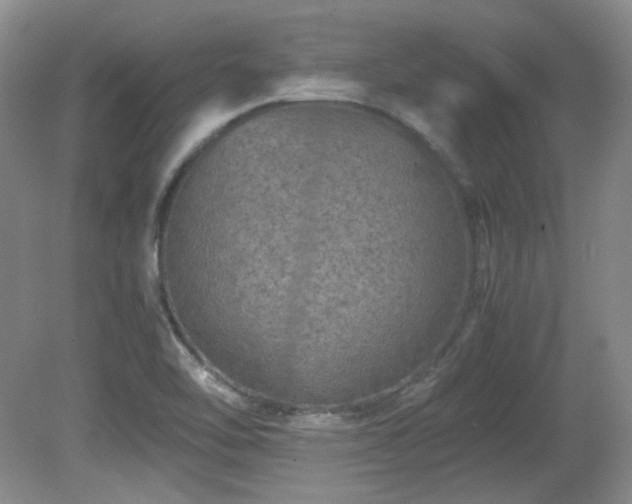 X0000081611462200701151352