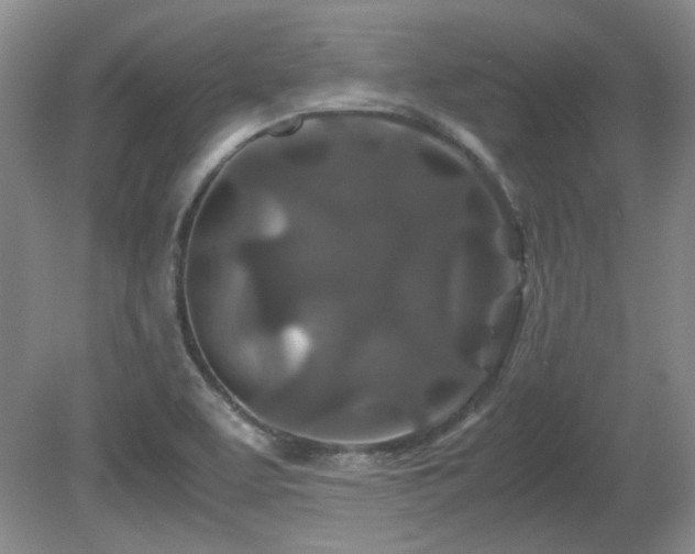 X0000081611463200701151352