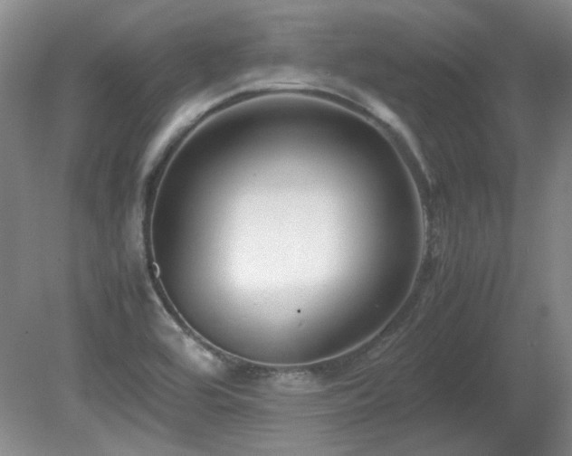 X0000081611464200701151352