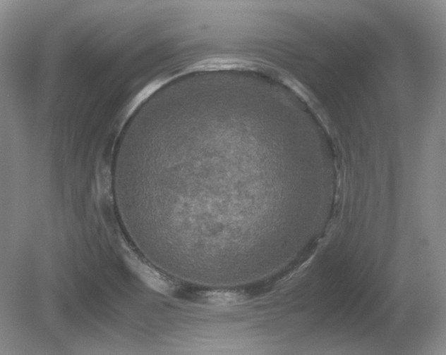 X0000081611465200701151352