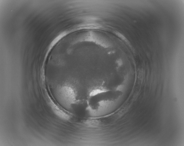 X0000081611466200701151352