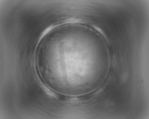 X0000081611467200701151352