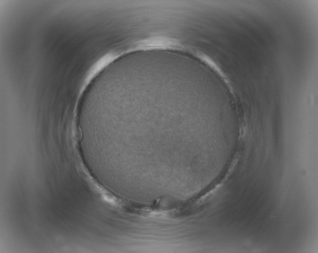 X0000081611469200701151352