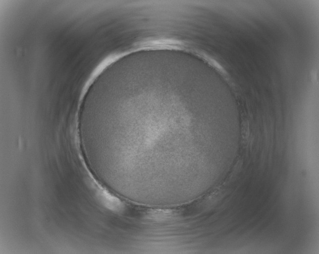 X0000081611470200701151352