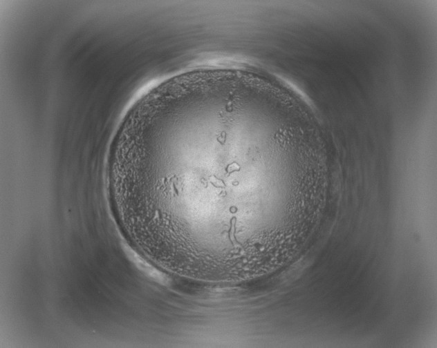 X0000081611471200701151352