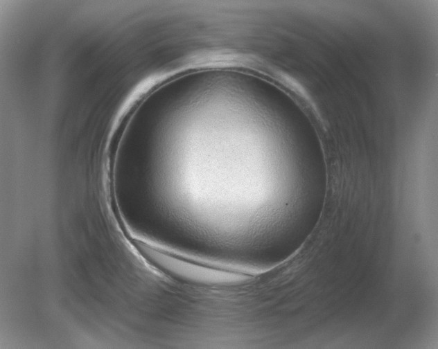 X0000081611472200701151352