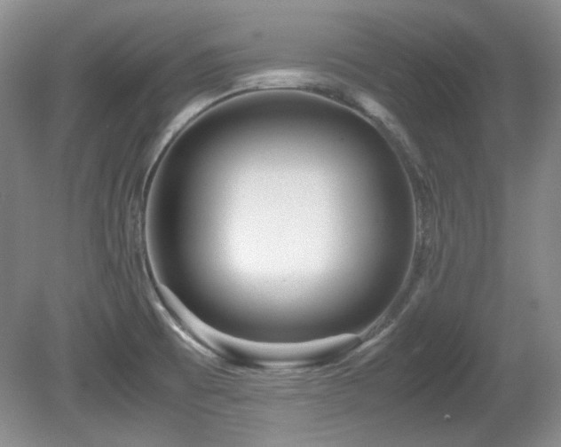 X0000081611473200701151352