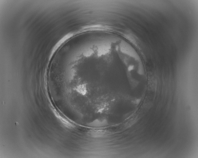 X0000081611474200701151352