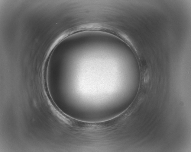 X0000081611475200701151352